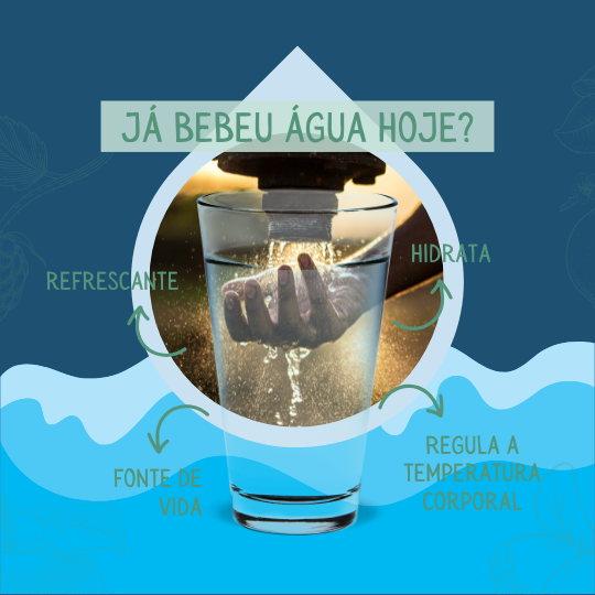 água solarizada
