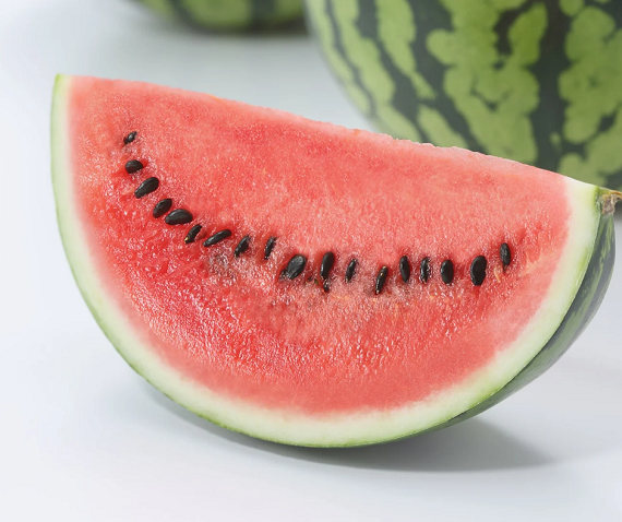 Semente de Melancia